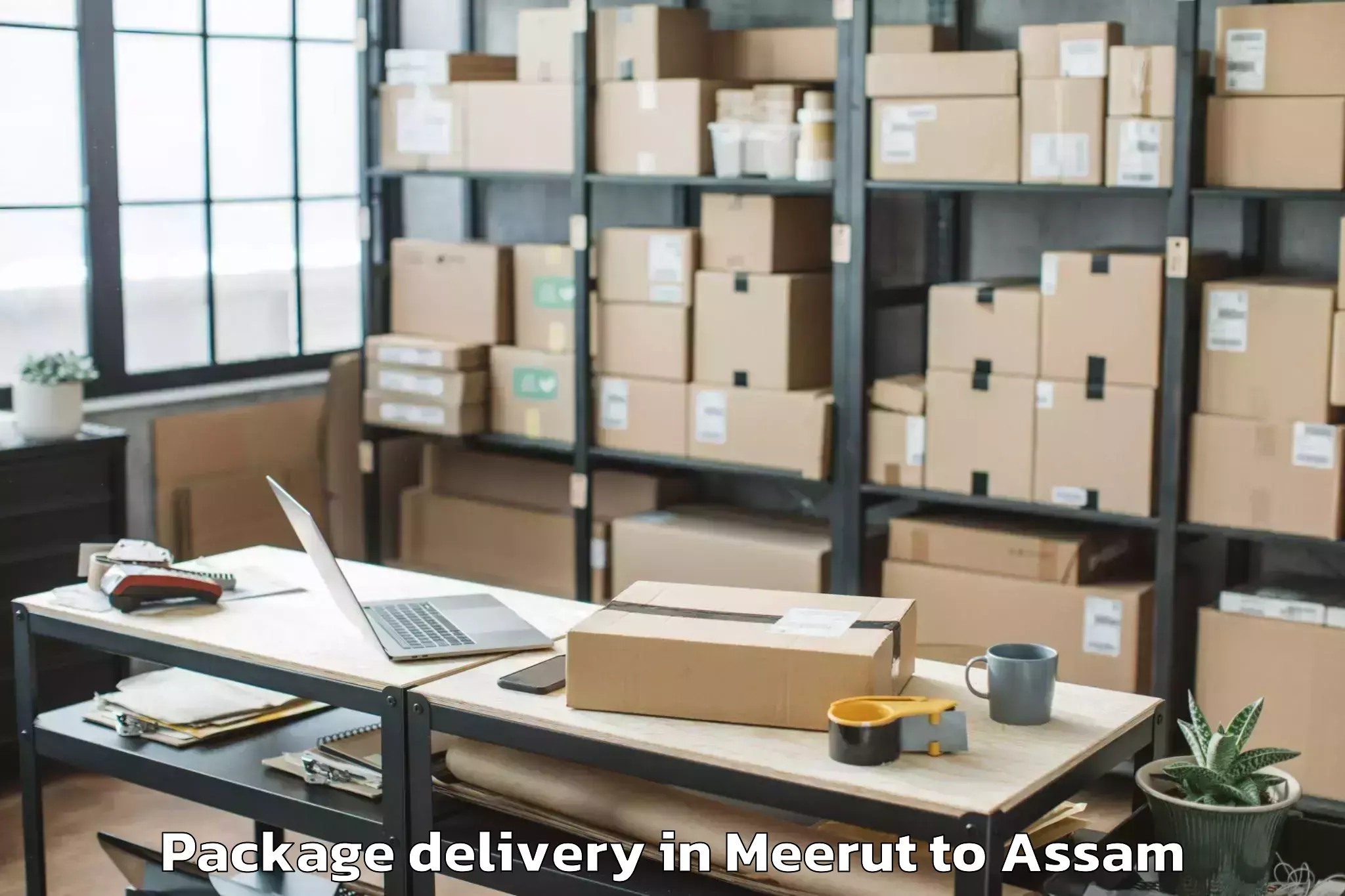 Trusted Meerut to Guwahati University Package Delivery